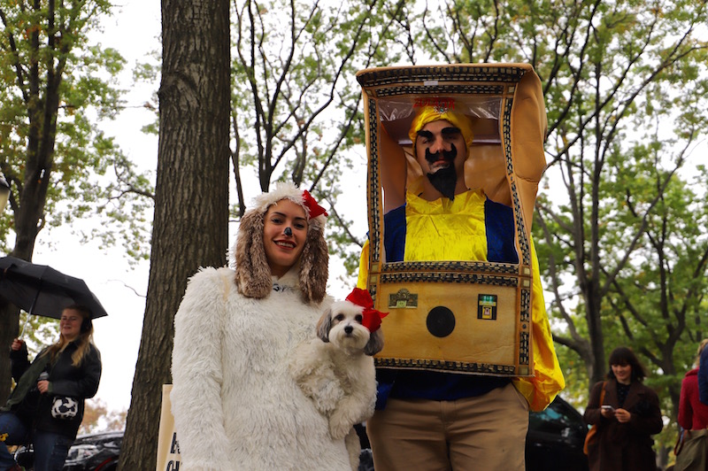 Tompkins Square Halloween Dog Parade