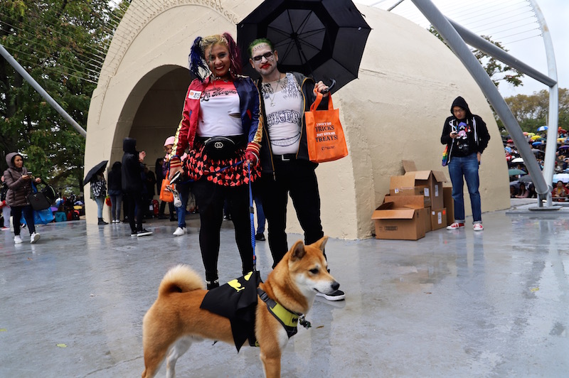 Tompkins Square Halloween Dog Parade