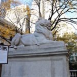 NYPL LION