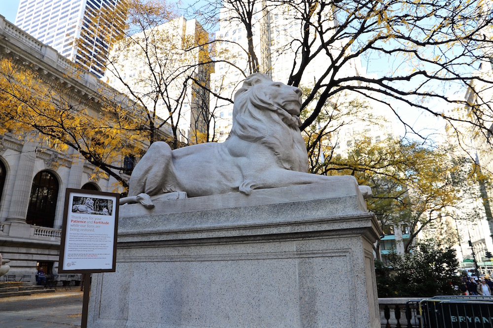 NYPL LION
