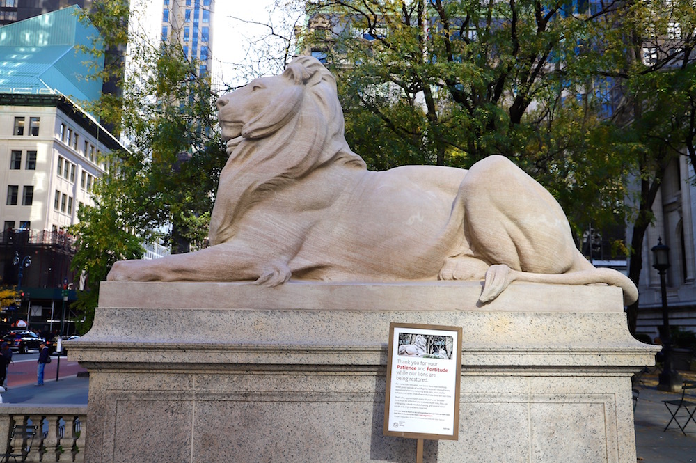 NYPL LION