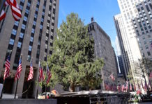 NYロックフェラーセンターのクリスマスツリーが到着 christmas tree