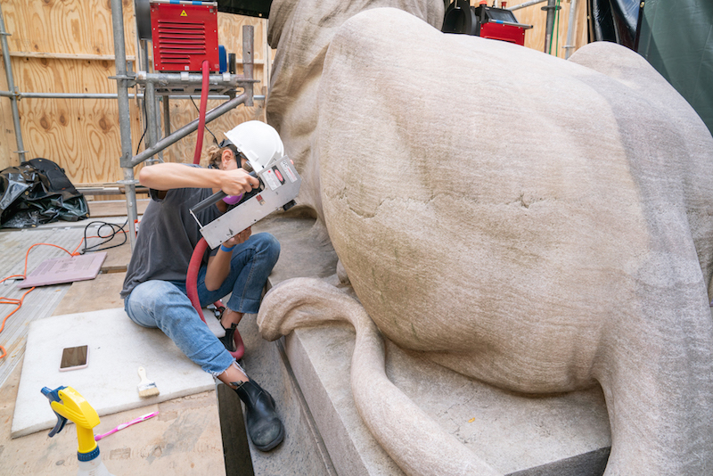 NYPL lion