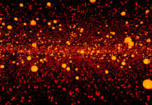 草間彌生の個展、NYのチェルシーで開催