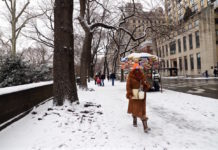 ニューヨークに今年初のスノーストーム snowstorm