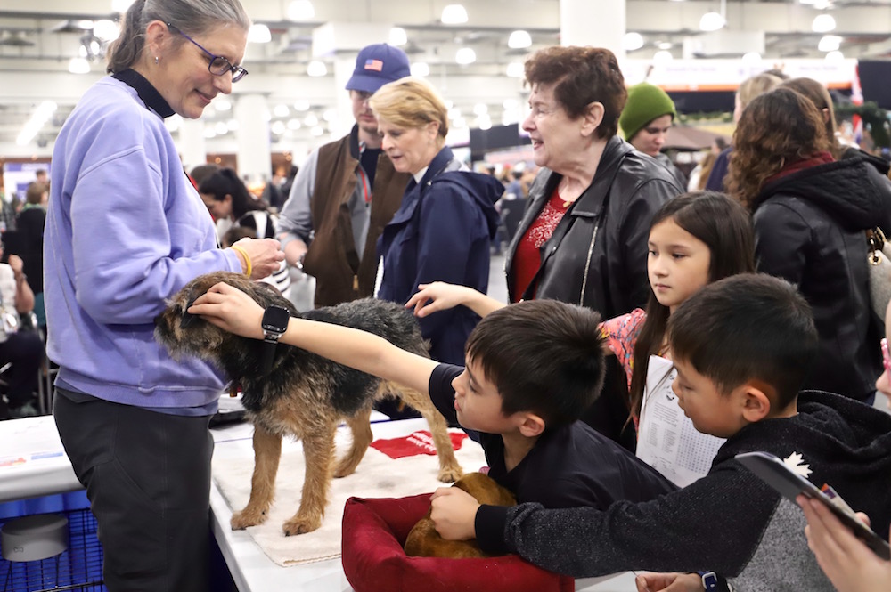 AKC Meet the Breeds