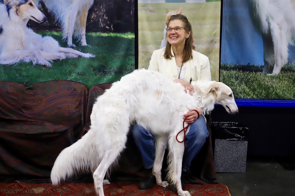 AKC Meet the Breeds