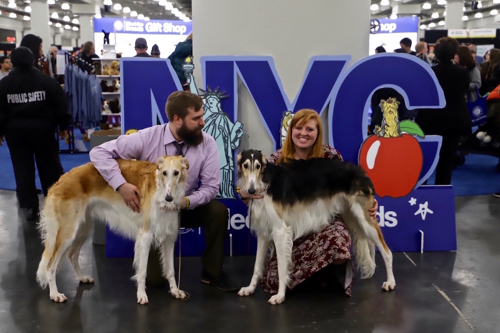 AKC Meet the Breeds