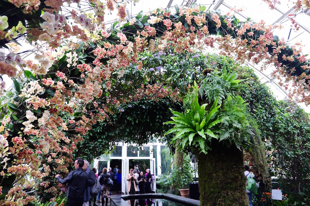 The Orchid Show Jeff Leatham