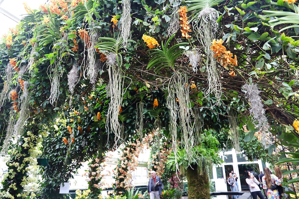 The Orchid Show Jeff Leatham