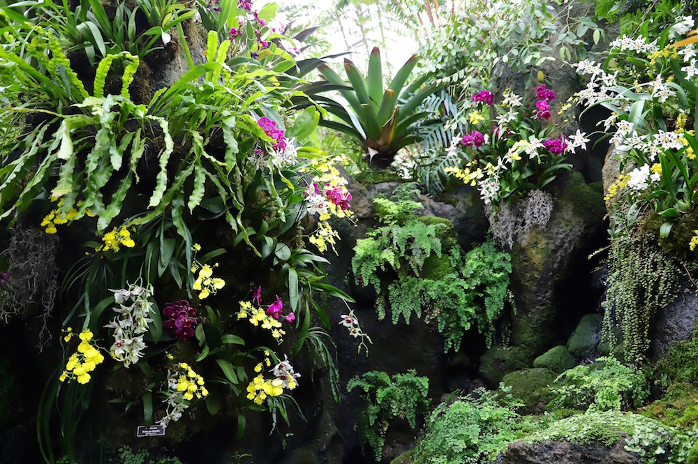 The Orchid Show Jeff Leatham