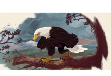 スーパーボウル、動物が膝をつくPETAのCM放送拒否