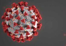 カリフォルニア州 新型コロナ感染者33人、8,400人を観察 coronavirus