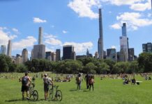 ベテランガイドが教えるニューヨーク観光 おすすめスポット【2023春夏】 ニューヨーク観光 セントラルパーク