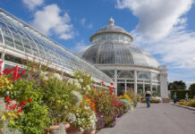 NY植物園 28日より営業再開。地元医療従事者を無料招待