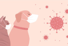 バディ、米国初の新型コロナ感染の犬が死亡