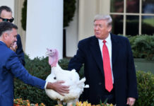 クリスマスギフト扱い?トランプ氏 希望しない人にも恩赦を提案