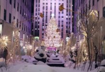 コロナ禍でも健在 マンハッタン豪華クリスマスツリー ロックフェラーセンター クリスマスツリー