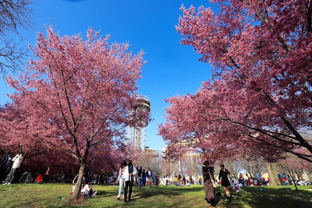 Unisphere ユニスフィア