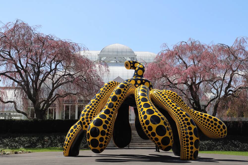 草間彌生 ニューヨーク植物園