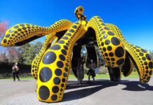 草間彌生展 ニューヨーク植物園 みどころ10選 草間彌生 ニューヨーク植物園