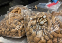 米国境警備当局が摘発「覚せい剤密輸」細かすぎる手口