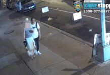 要注意!マンハッタンで痴漢強盗