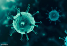 ワクチン打つのは「愚か者」Qアノンインフルエンサー コロナで死亡