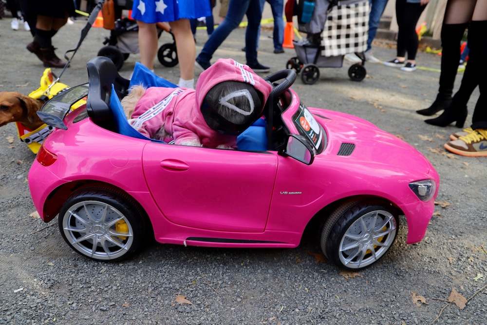 Tompkins Square Halloween Dog Parade