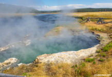 愛犬を救おうとした女性 熱水に飛び込み 全身大やけど イエローストーン国立公園