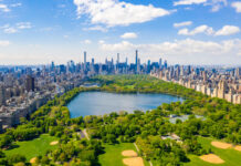 NYのセントラルパークで不審火10件 連続放火か