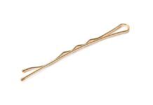 現代版わらしべ長者!? ヘアピンから一戸建てを手に入れた女性が話題