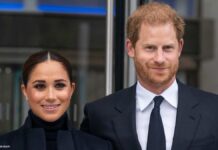 ヘンリー&メーガンの「2時間カーチェイス」ホテル代をケチったから?