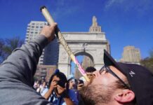 大麻事業者への金融サービスに関する法案 上院銀行委を通過