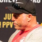 ジョーローガン