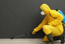 家にゴキ100匹放出で謝礼26万円 害虫駆除業社 新技術調査に協力募集