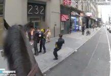 タイムズスクエアで「ホースチェイス」騎馬警官が泥棒追い詰める ホースチェイス