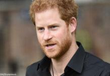 「環境活動家」ヘンリー王子、プライベートジェットでチャリティイベントに ヘンリー王子