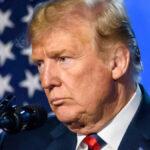トランプ
