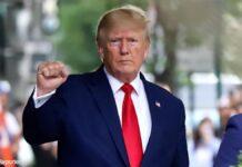 州高裁 トランプ氏の保証金減額、専門家は一審への違和感と指摘 ドナルド・トランプ