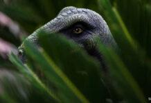 恐竜か?監視カメラに映った謎の生物めぐり議論沸騰