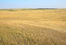 中国企業が軍事基地近くの農地購入 米議員ら警戒呼びかけ