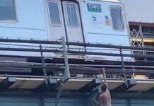 全裸の男性、地下鉄高架橋から落下 NY市