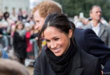 「ダイアナに仕立て上げようとしている」メーガン妃パパラッチ騒動に誇張との声