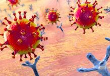 「分子のマジックテープのよう」新型コロナウイルスの感染阻止するタンパク質 研究者らが発見