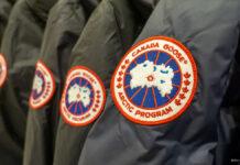 要注意、首都ワシントンでカナダグース狙った「追いはぎ」事件が多発