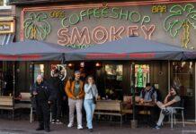 カリフォルニアで「アムステルダムスタイル」の大麻カフェが誕生するかも