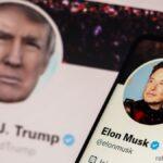 トランプ　イーロン・マスク