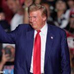 トランプ