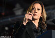 ハリス氏 4年前のブランディングの「誤算」が足枷に、米コラムニスト カマラ 2024 9